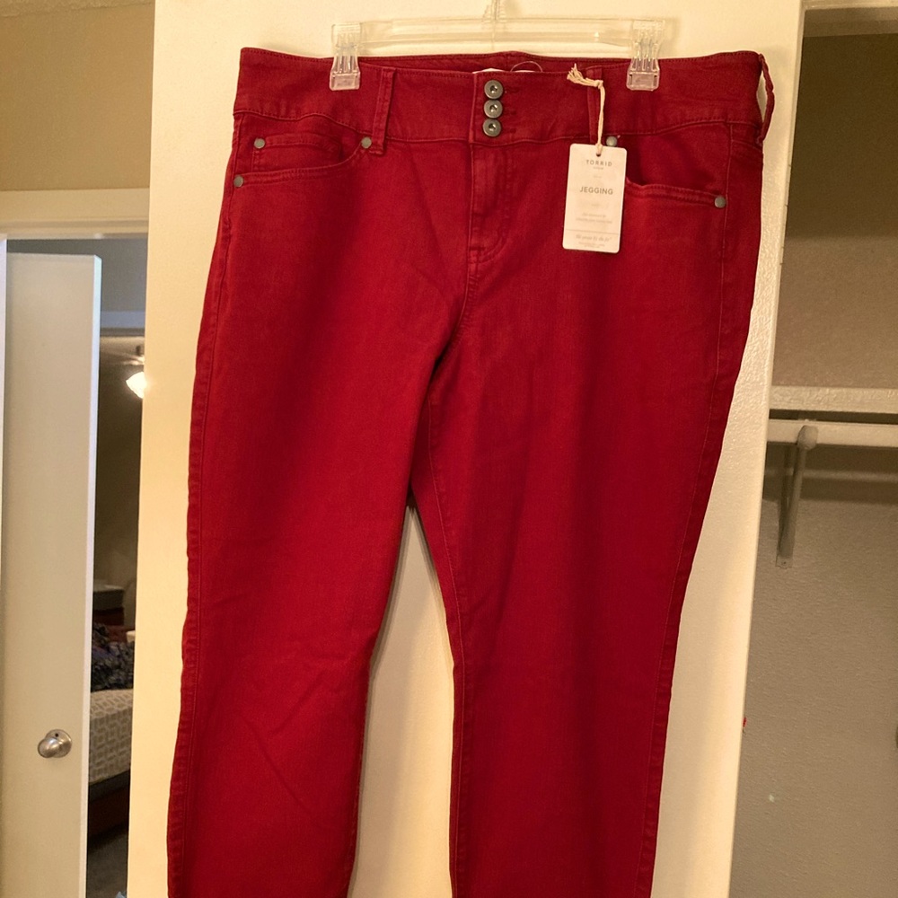 RARE Torrid Red Fern Jeggings, size 20S